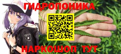 прущая мука Гатчина