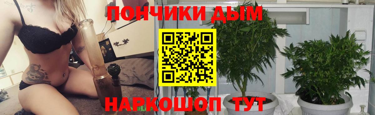 Конопля планчик  МАРИХУАНА сатива  Вход с VPN  Бошки Шишки план  Орехово-Зуево 